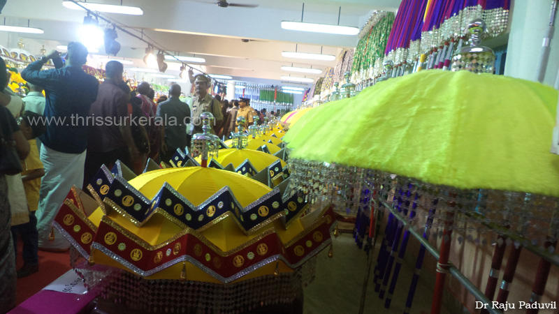 thrissur-pooram-2013-1 (10)